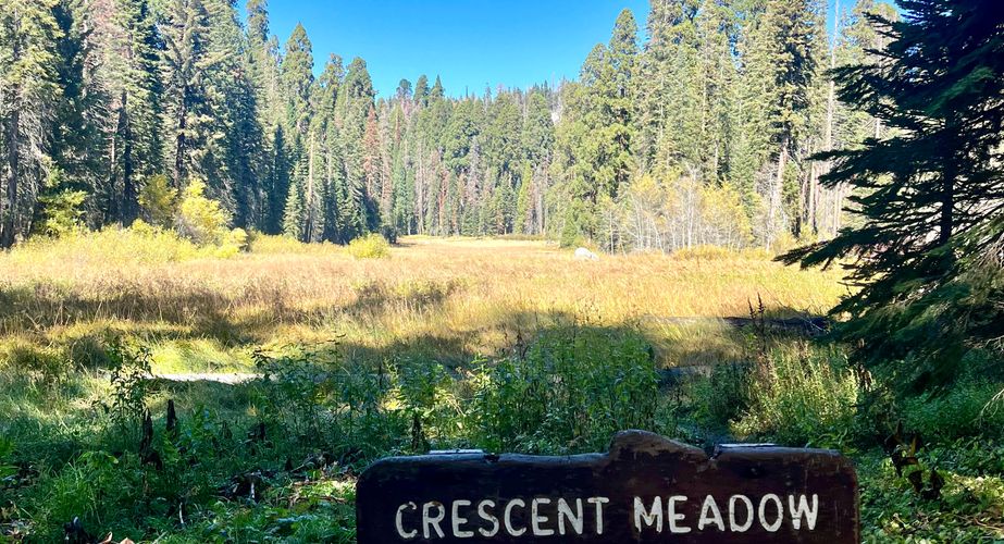 Crescent Meadow